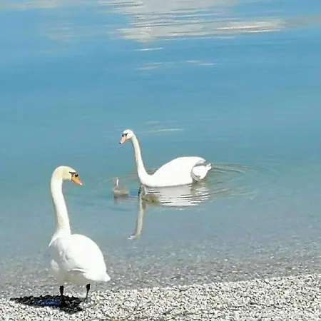 Casa Dolce Casa, A 2 Passi Dal E Vicina A Varenna * Lierna